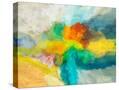 Stretched Canvas