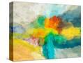 Stretched Canvas