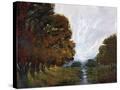 Stretched Canvas