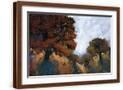 Brown Frame