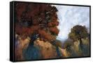 Canvas Black