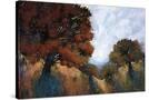 Stretched Canvas