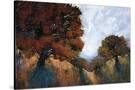 Stretched Canvas