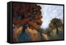 Canvas Black