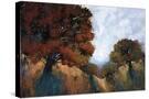 Stretched Canvas