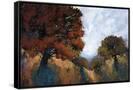 Canvas Black