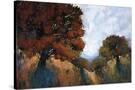 Stretched Canvas