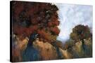 Stretched Canvas