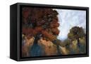 Canvas Black