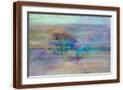 Brown Frame
