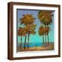 Brown Frame
