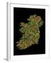 Chelsea White