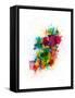 Framed Canvas