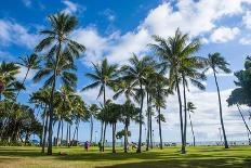 Palm Trees on Waikiki Beach, Oahu, Hawaii, United States of America, Pacific-Michael-Photographic Print