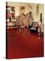 Stretched Canvas