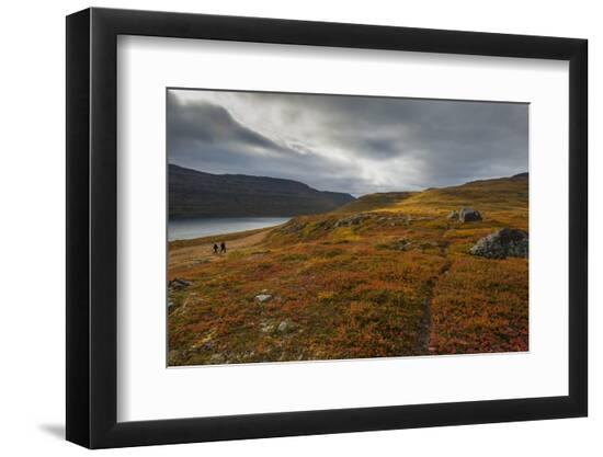 Premium Photographic Print, , large