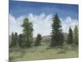 Wood Mount