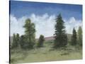 Stretched Canvas