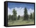 Canvas Black