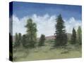 Stretched Canvas