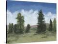 Stretched Canvas