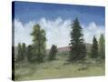 Stretched Canvas