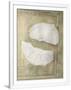 Gramercy White