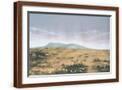 Brown Frame