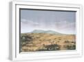 White Frame