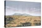 Stretched Canvas