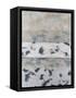 Canvas Black