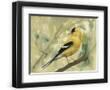 Chelsea Black
