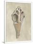 Gramercy White