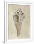 Gramercy White