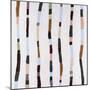 Wood Mount