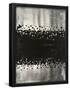 Essential Black
