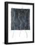 Essential Black