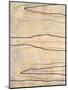 Wood Mount