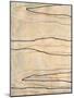 Wood Mount