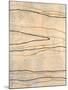 Wood Mount