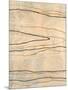 Wood Mount
