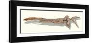 Brown Frame