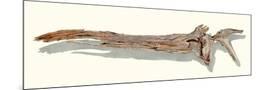 Wood Mount