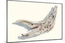 Wood Mount