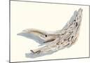 Wood Mount