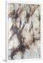 Gramercy White