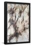 Essential Black