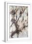 White Frame