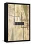 Canvas Black