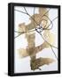 Essential Black